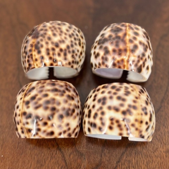 Other - Tiger Cowrie Shell Napkin Rings Natural Coastal Table Decor Brown Cream Set of 4